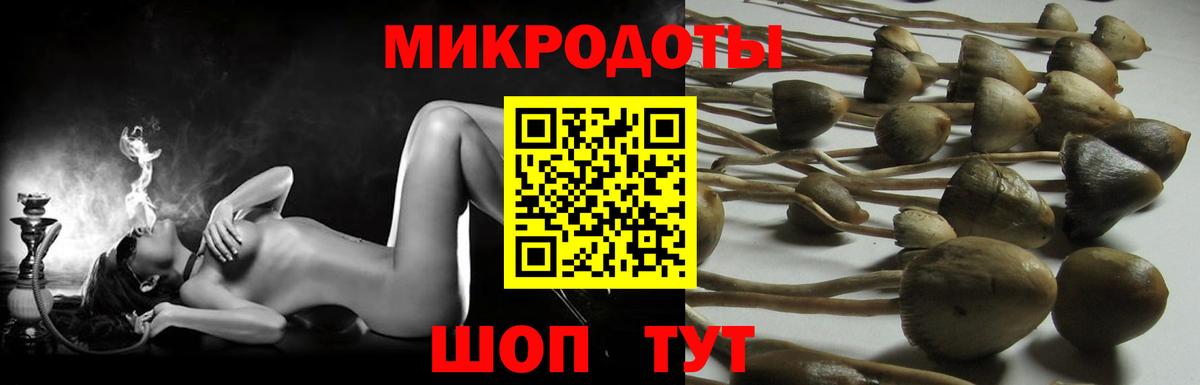 Псилоцибиновые грибы MAGIC MUSHROOMS Киселёвск